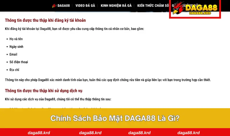Chính sách bảo mật DAGA88 1 Giải mã về chính sách bảo mật tại DAGA88