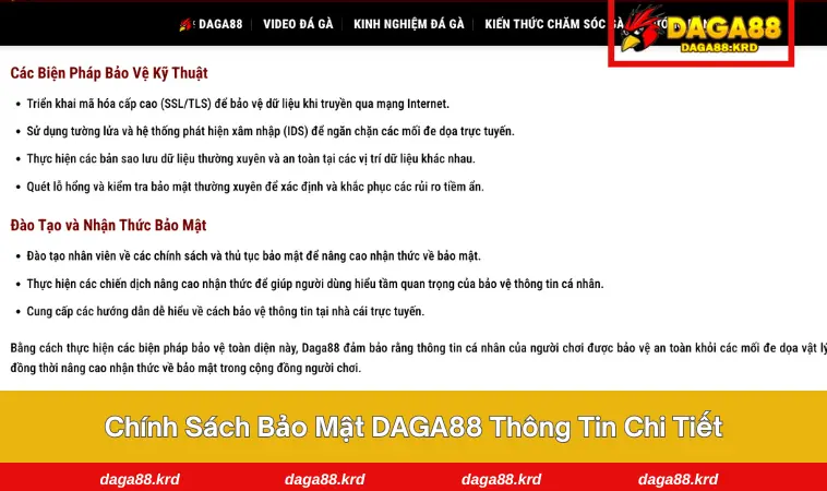 Chính sách bảo mật DAGA88 3 Thông tin chi tiết trong chính sách bảo mật tại DAGA88