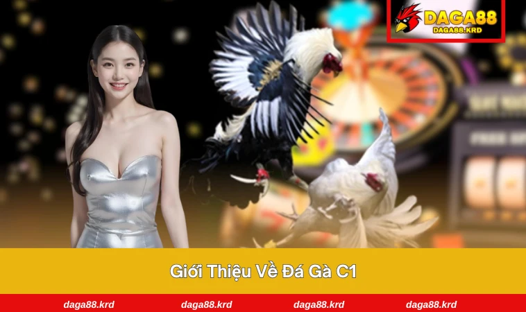 Đá Gà C1 - Tìm Hiểu Đấu Trường Gà Đẳng Cấp Nhất Châu Á 1 Sảnh đấu hoành tráng trong một trận đá quốc tế