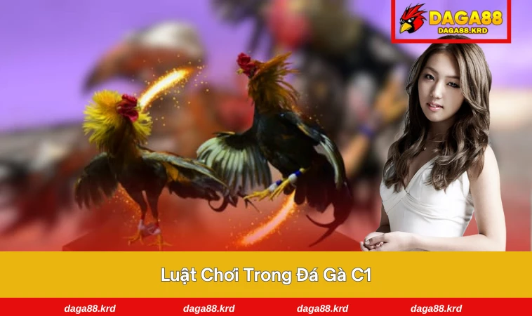 Đá Gà C1 - Tìm Hiểu Đấu Trường Gà Đẳng Cấp Nhất Châu Á 2 Tỷ lệ kèo trong trận đá được hiển thị rõ ràng trước giờ thi đấu