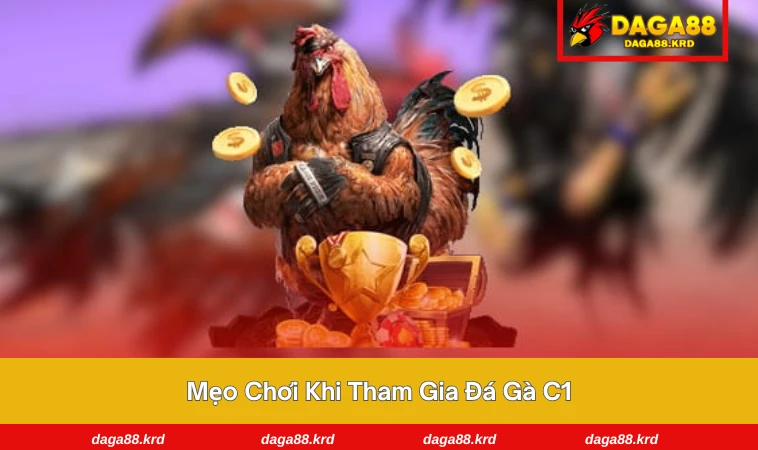 Đá Gà C1 - Tìm Hiểu Đấu Trường Gà Đẳng Cấp Nhất Châu Á 3 Người chơi tập trung theo dõi từng pha ra đòn trong trận đá