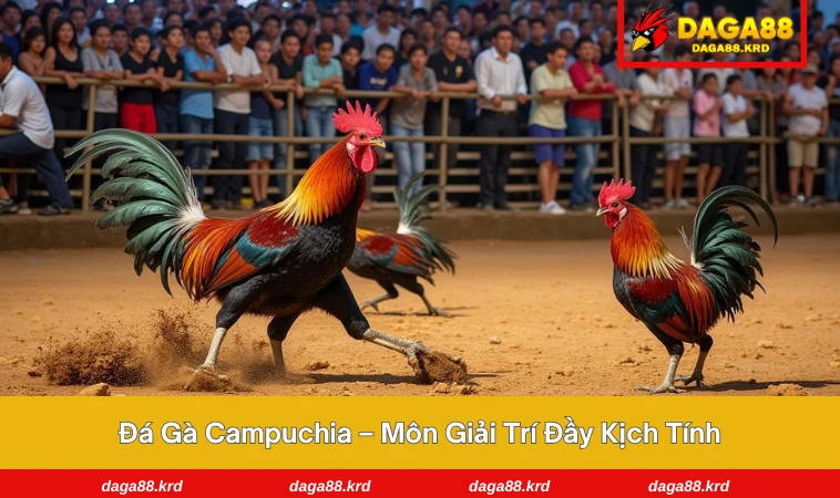 đá gà Campuchia
