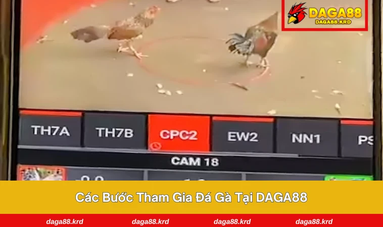 Đá Gà DAGA88 3 Giao diện đặt cược đơn giản và dễ thao tác, phù hợp với mọi người chơi