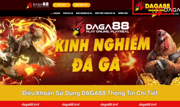 điều khoản sử dụng DAGA88 2 Thông tin chi tiết trong điều khoản sử dụng tại nhà cái DAGA88