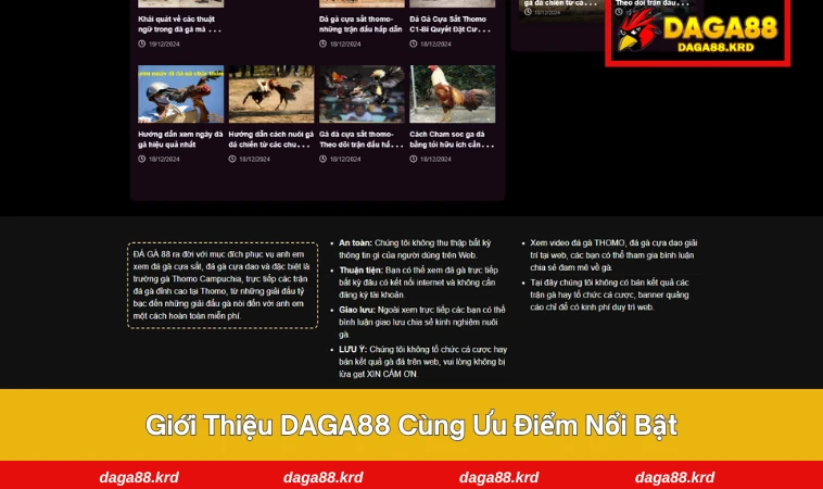 Giới thiệu DAGA88 2 DAGA88 cùng vô vàn điểm nổi bật